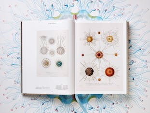 【お取り寄せ】The Art and Science of Ernst Haeckel